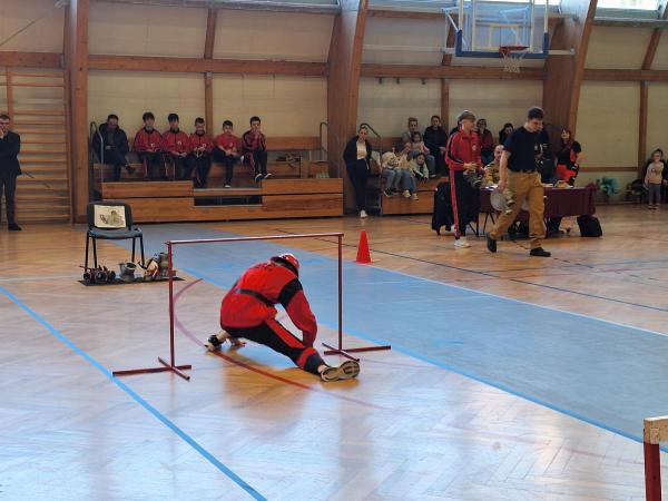 c7f53572aae52272cff961d5cf9853ee