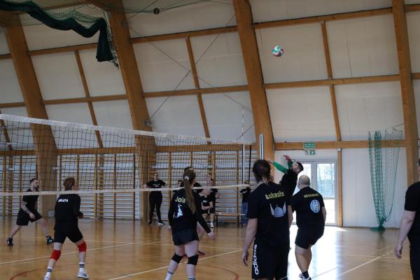 39de0333814a3ee7b6598031f1203005